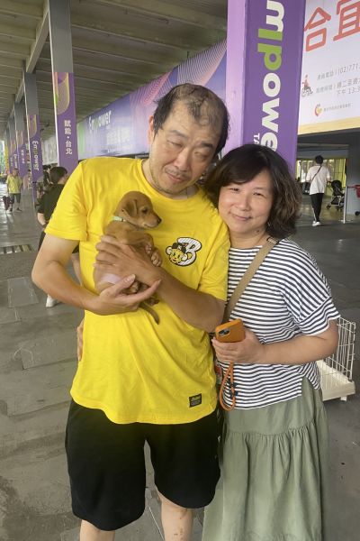 南蝶