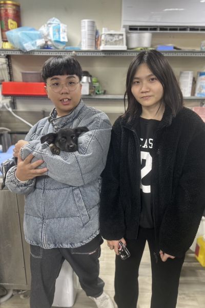 樟黑