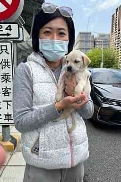 小籠包