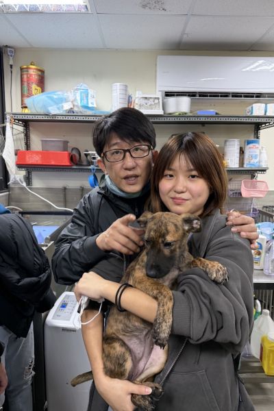 樟寶