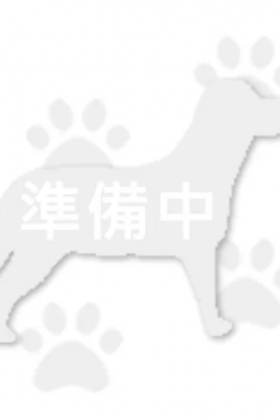 （米堡）JENNY
