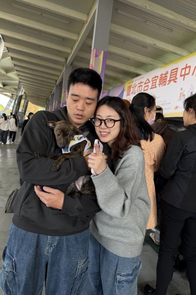 樟虎