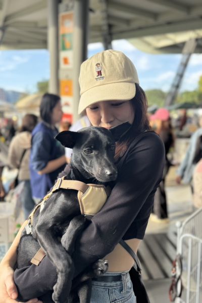 迪克