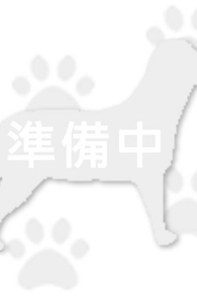 皮蛋