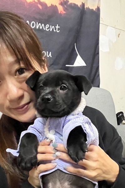 蘇格登