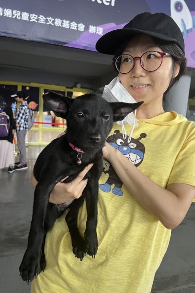 仙度
