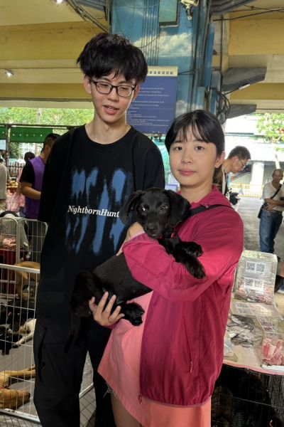 貢丸