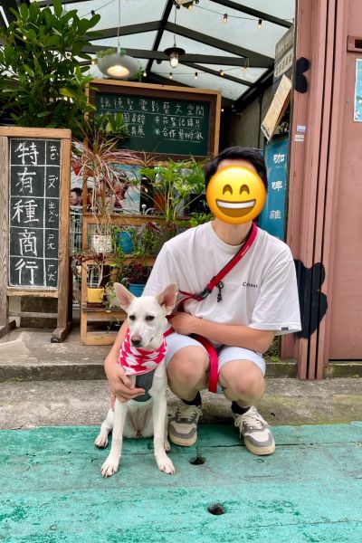 嫩豆腐
