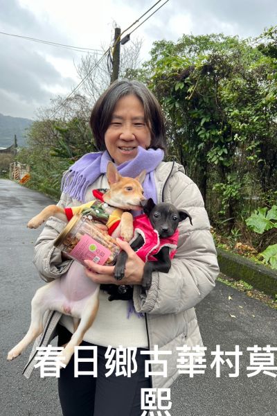 莫熙