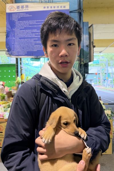 元貴