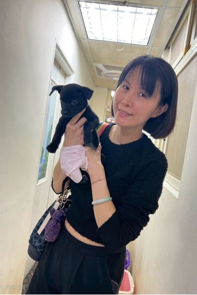 肥牛