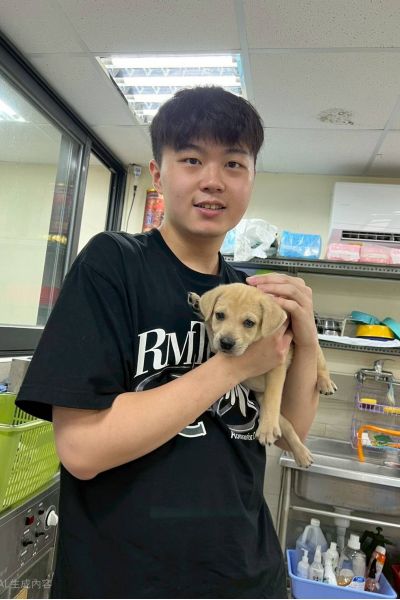 薄荷糖