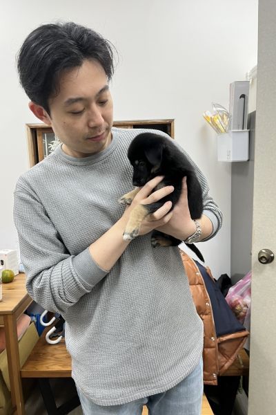 蘭寶