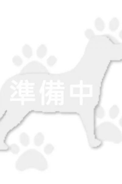 黑寶