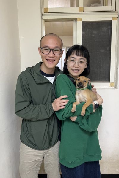 黃牛