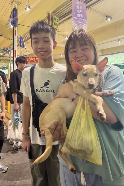 萊恩