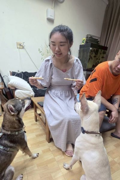 小哈
