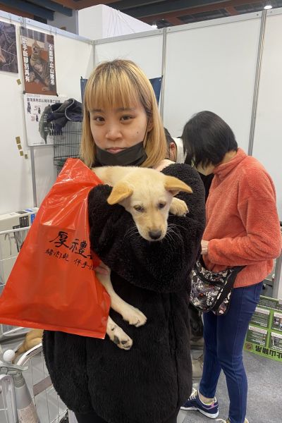 愛文